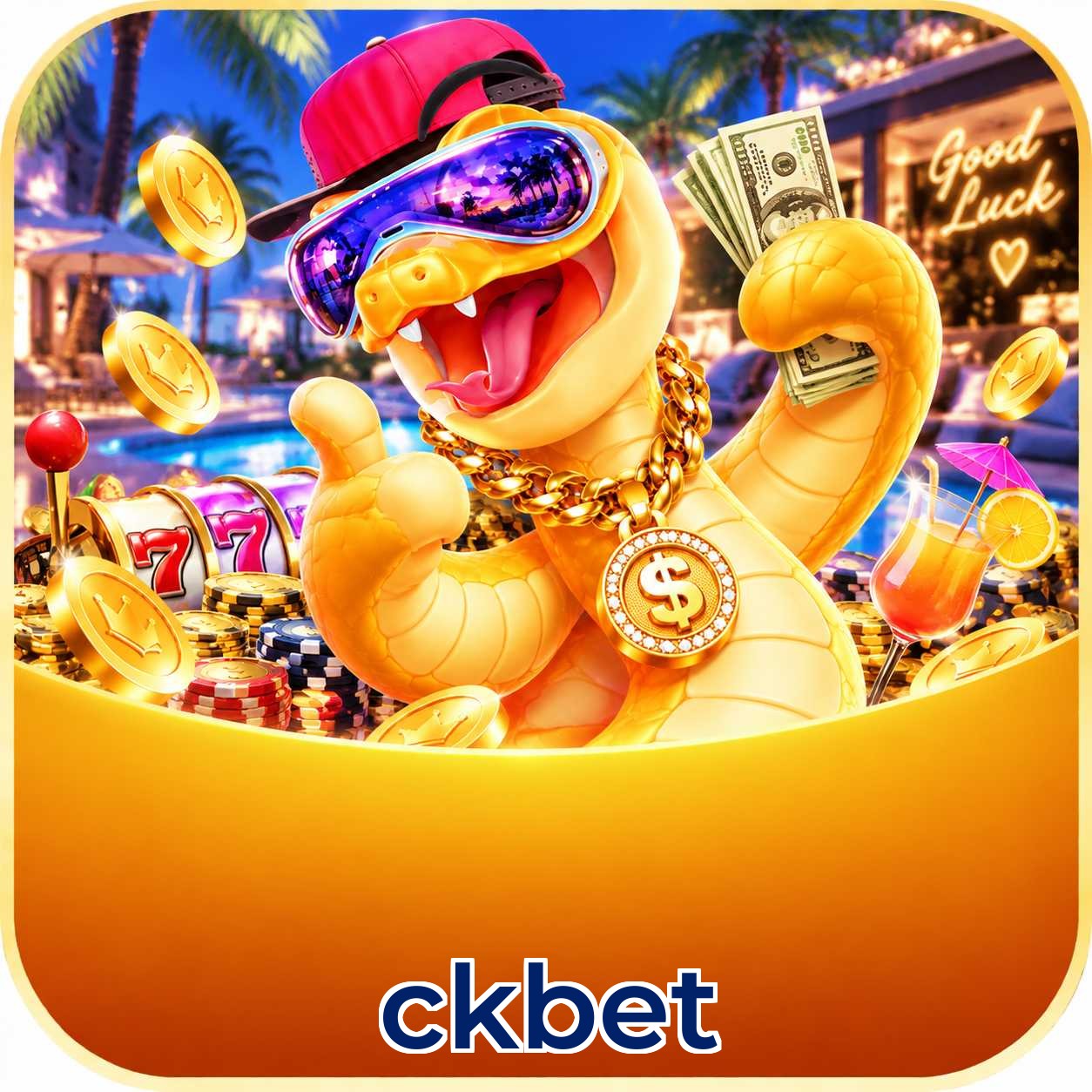 ckbet App vs Web