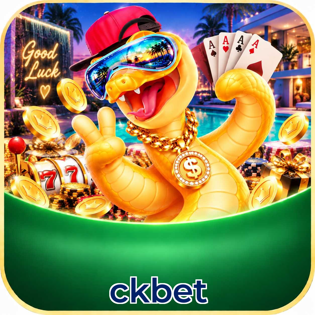 ckbet Bet Odds Analysis